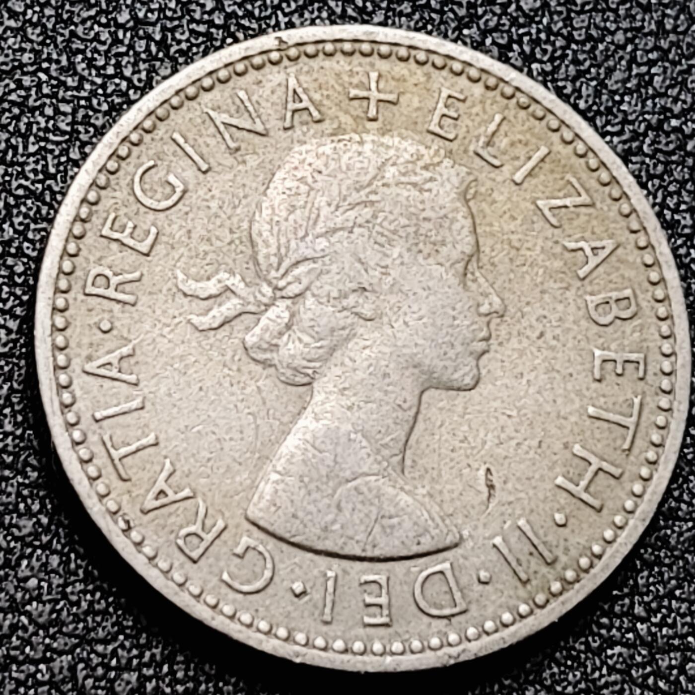 泉币菌-第169场- 精品福利场 。