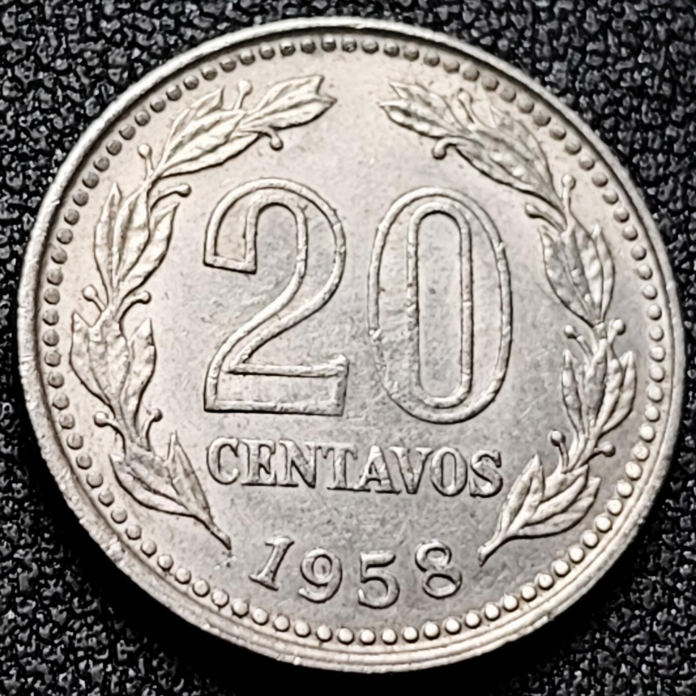 泉币菌-第169场- 精品福利场 。