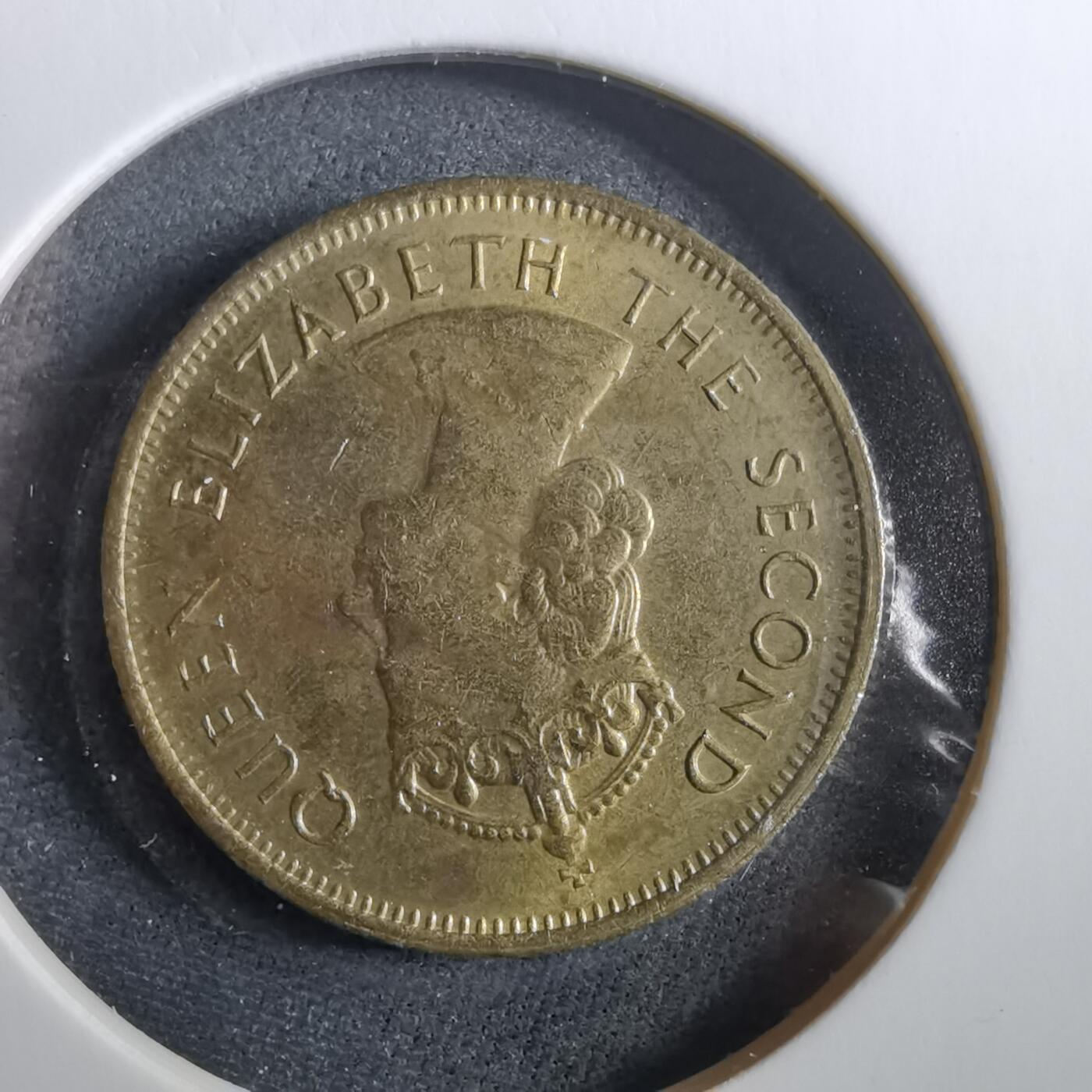 沼泽如烟--第960场