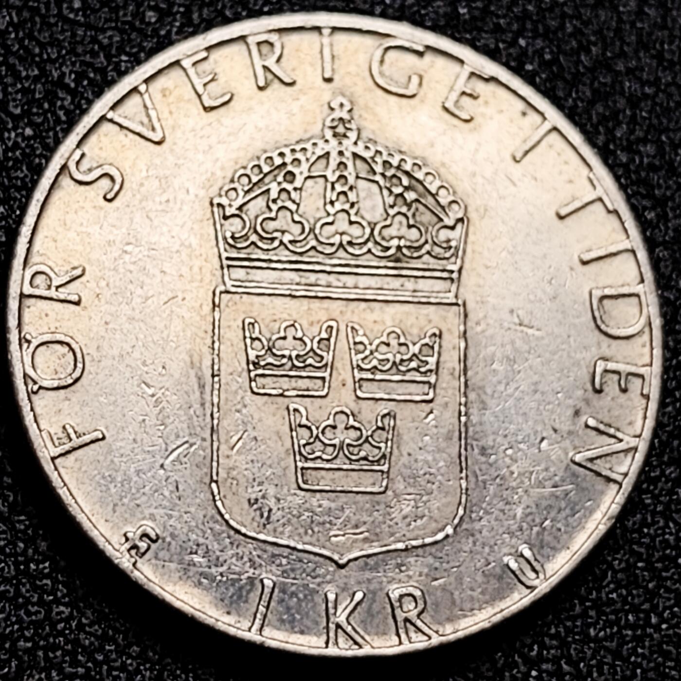 泉币菌-第168场- 精品福利场 。