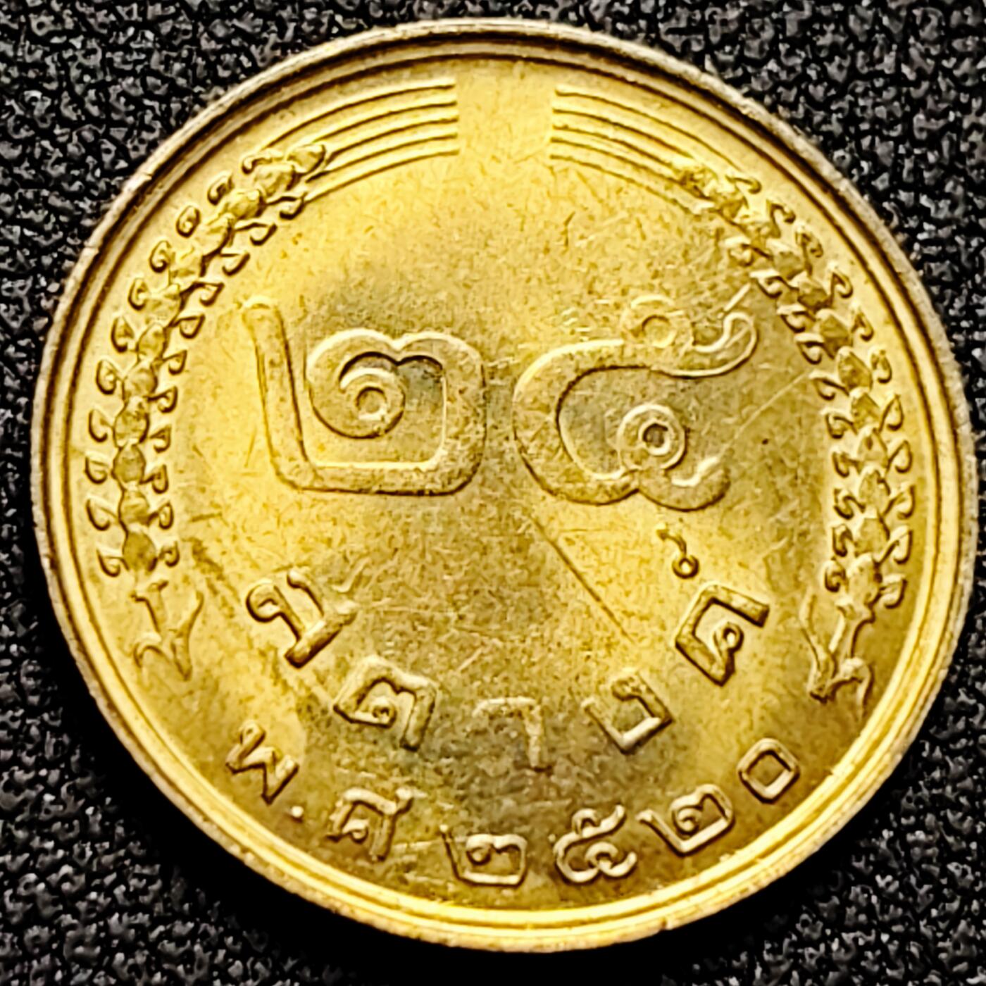 泉币菌-第169场- 精品福利场 。