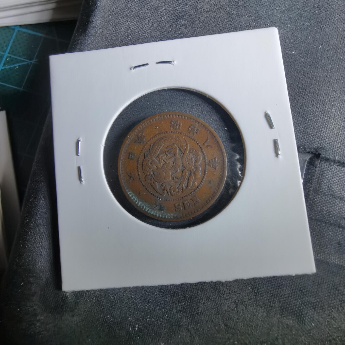 沼泽如烟--第960场