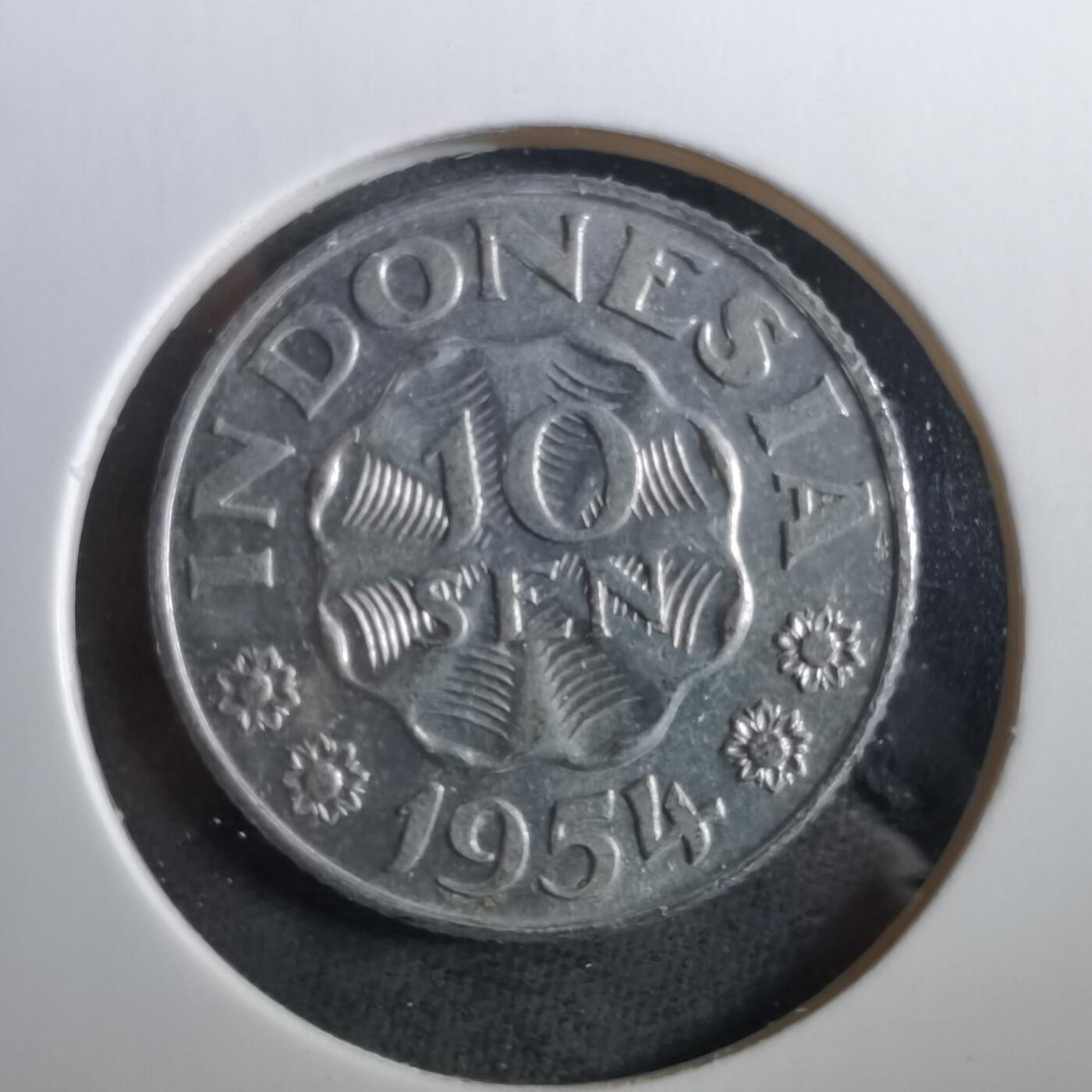 沼泽如烟--第960场