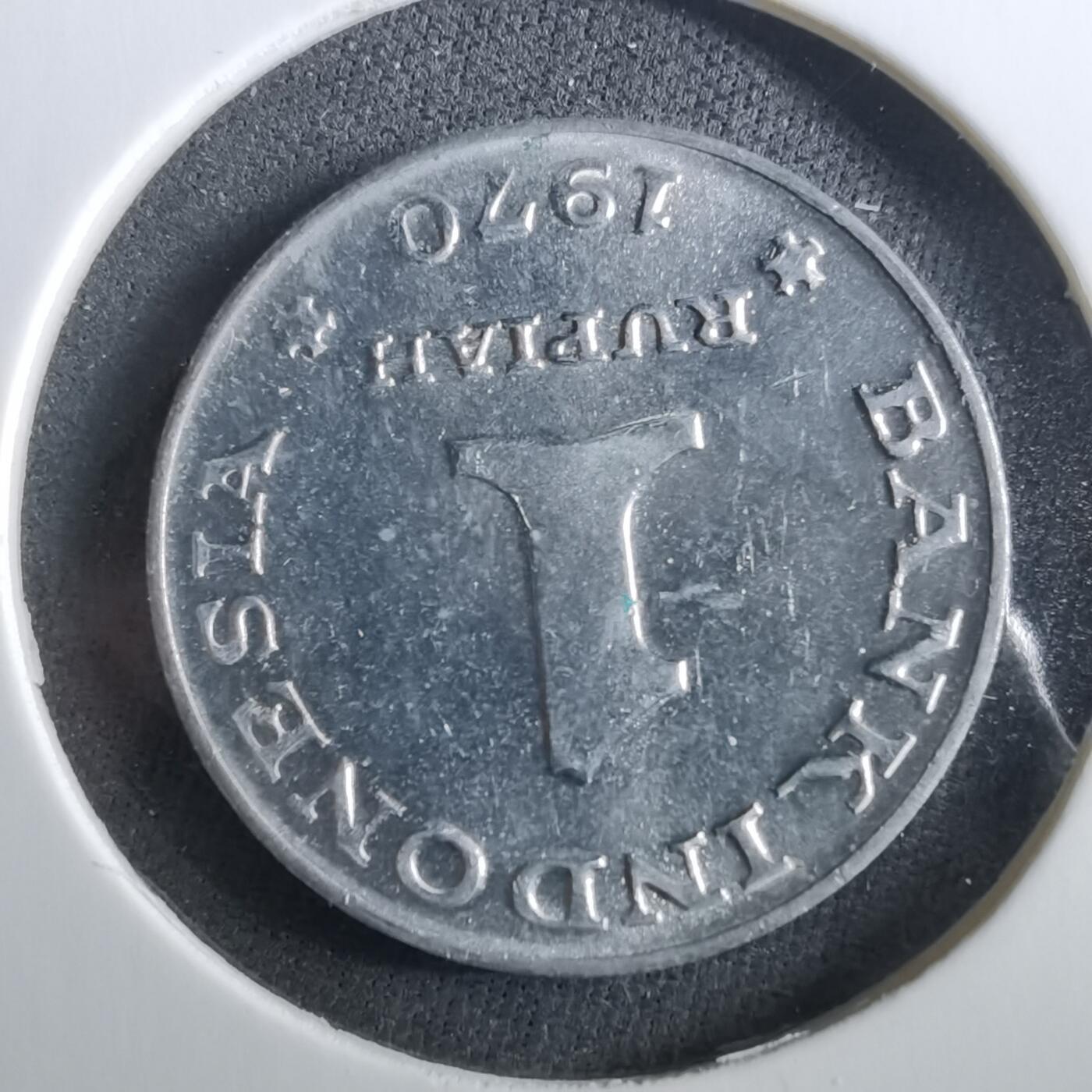 沼泽如烟--第960场