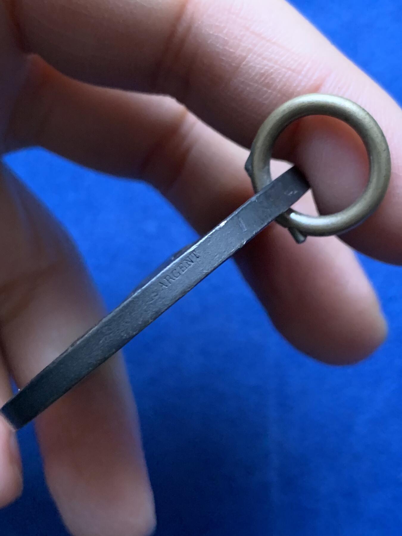 《竞宝斋》第458场 周日，周一，周二   3场连拍 （全场包邮）欢迎送拍 法国凡尔赛天鹅银章，66.3g，50.2mm，丰饶角边铭