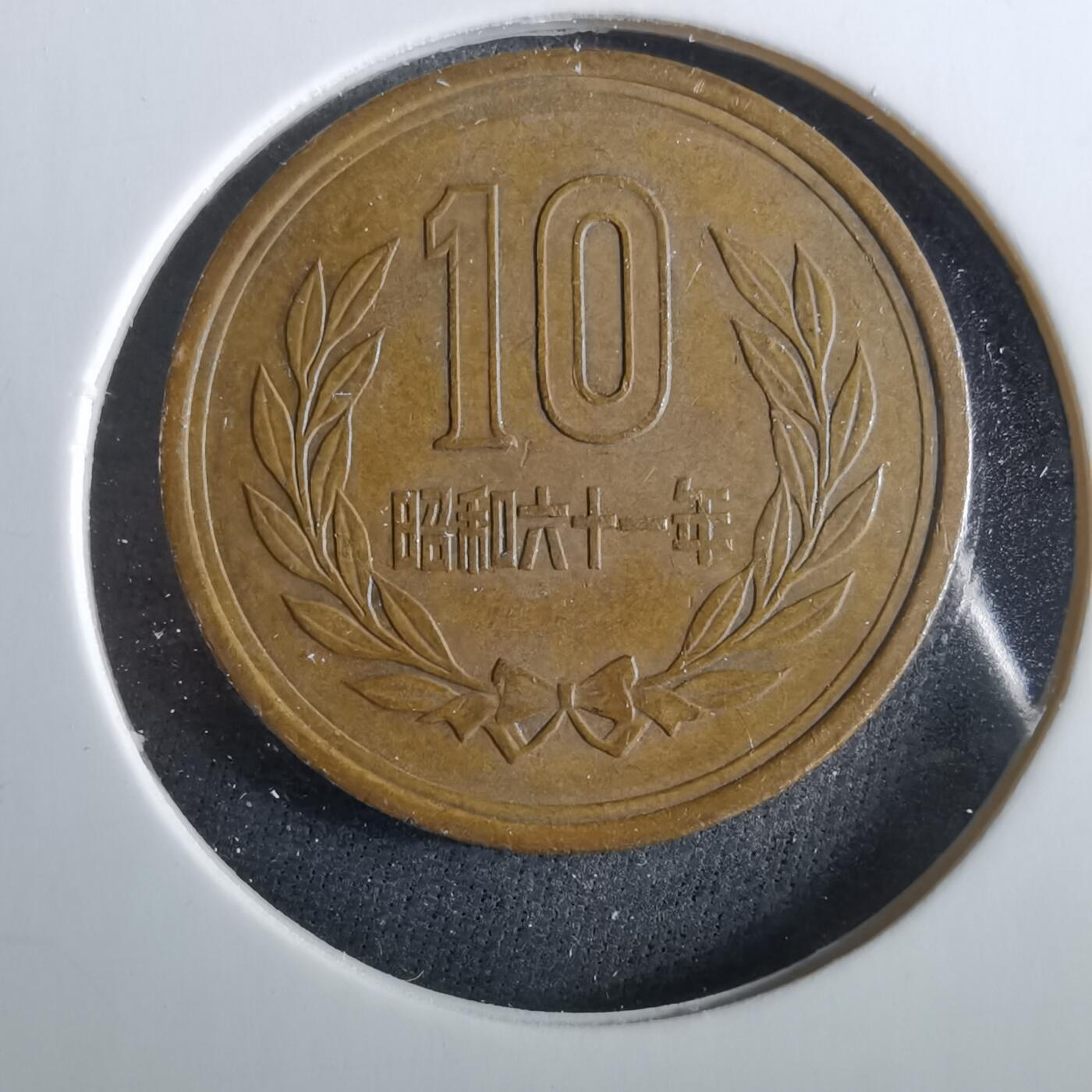 沼泽如烟--第960场