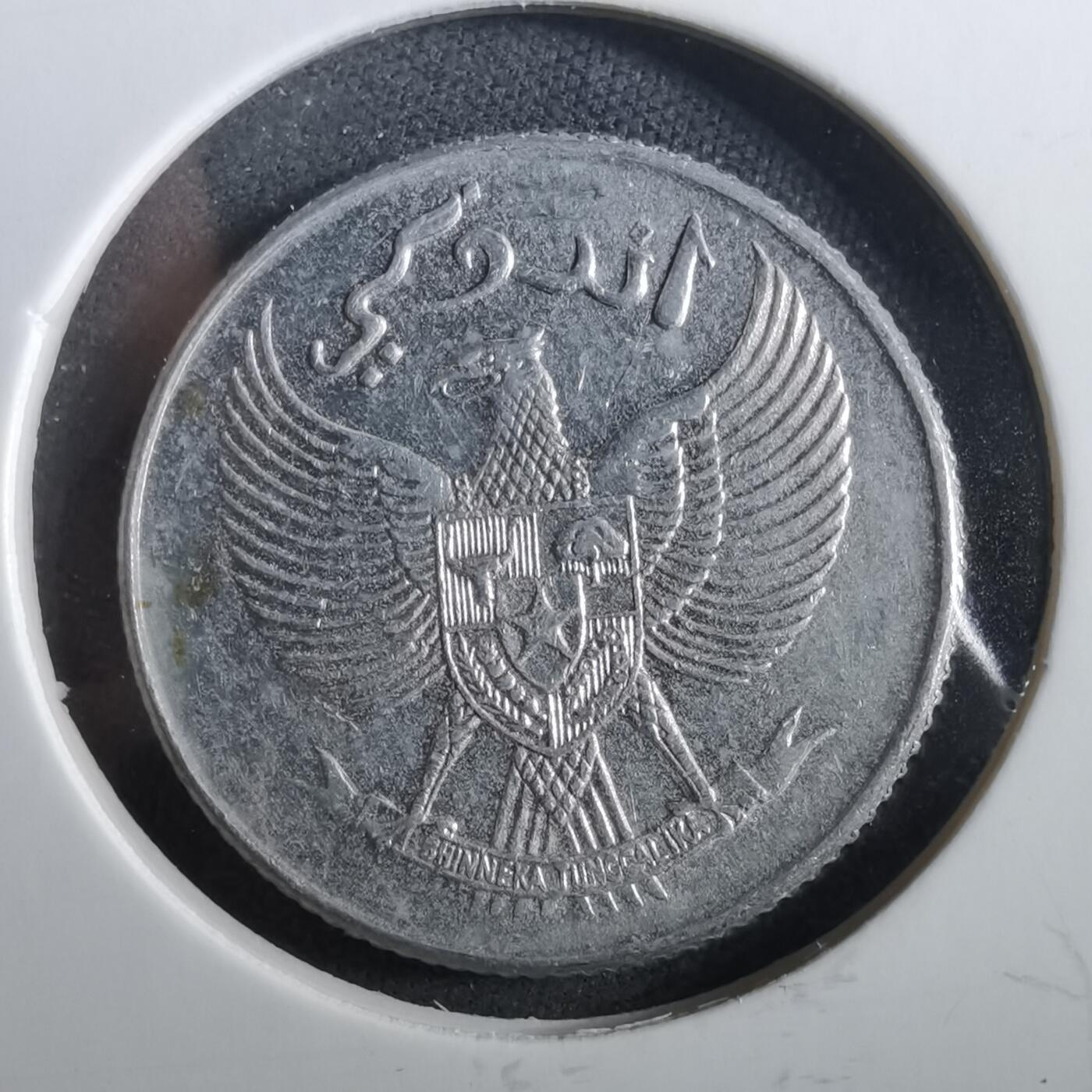 沼泽如烟--第960场