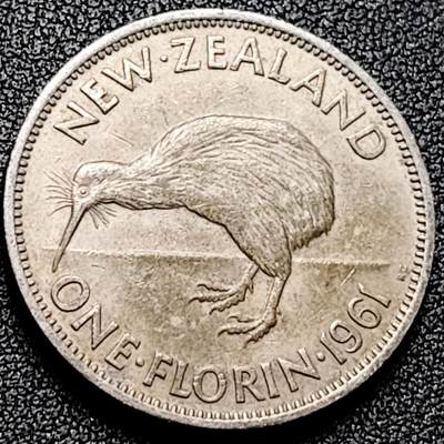 泉币菌-第169场- 精品福利场 - 几维鸟 英属新西兰1福林白铜硬币 28.5毫米 铜钱纪念币