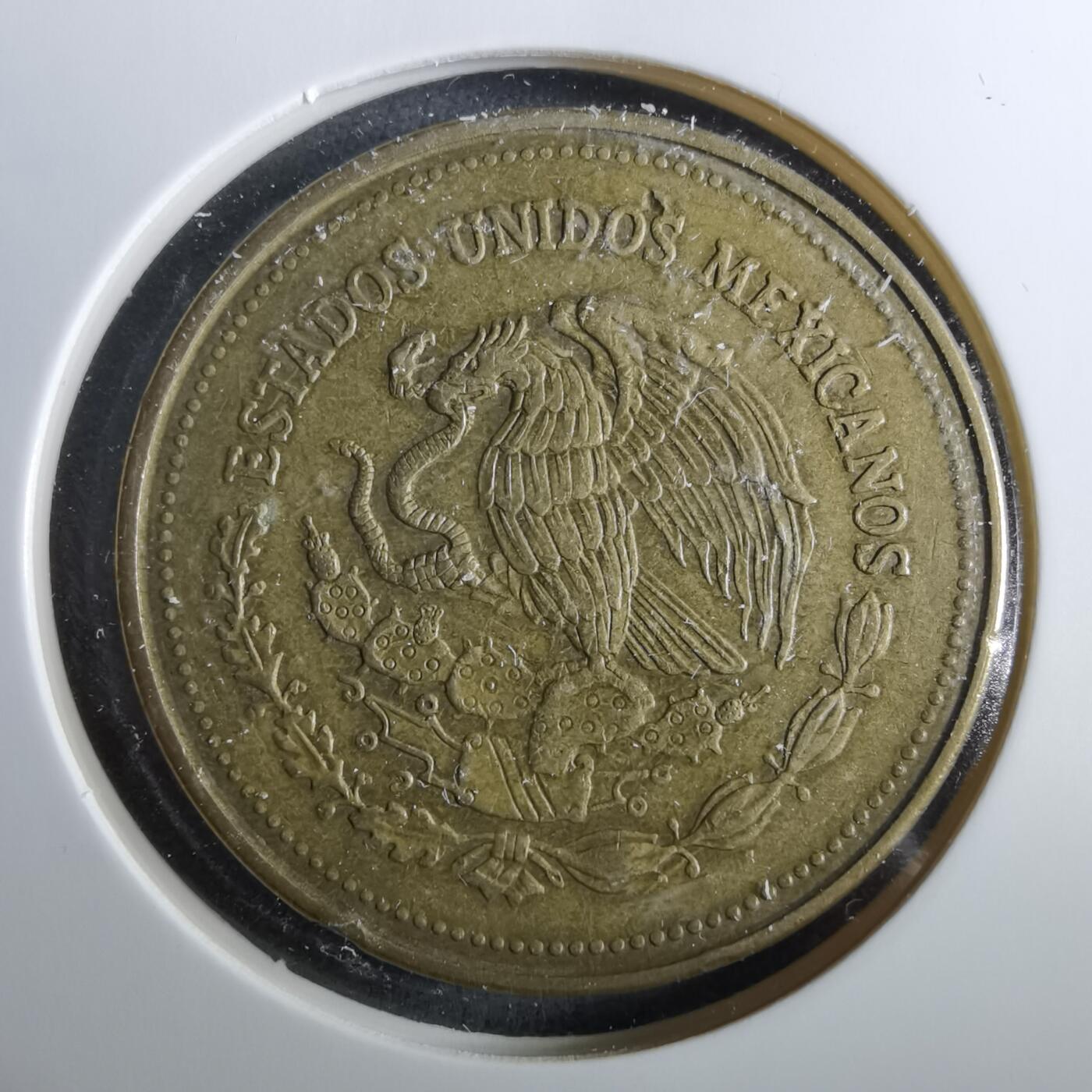 沼泽如烟--第960场