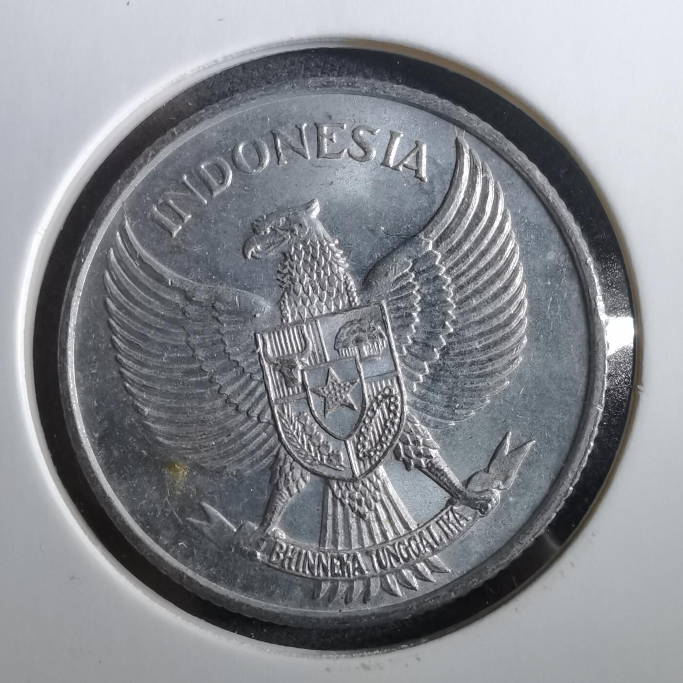 沼泽如烟--第960场