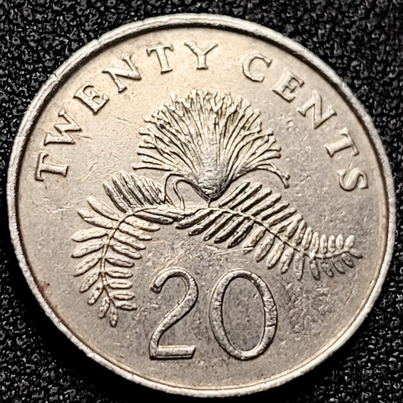 泉币菌-第168场- 精品福利场 。