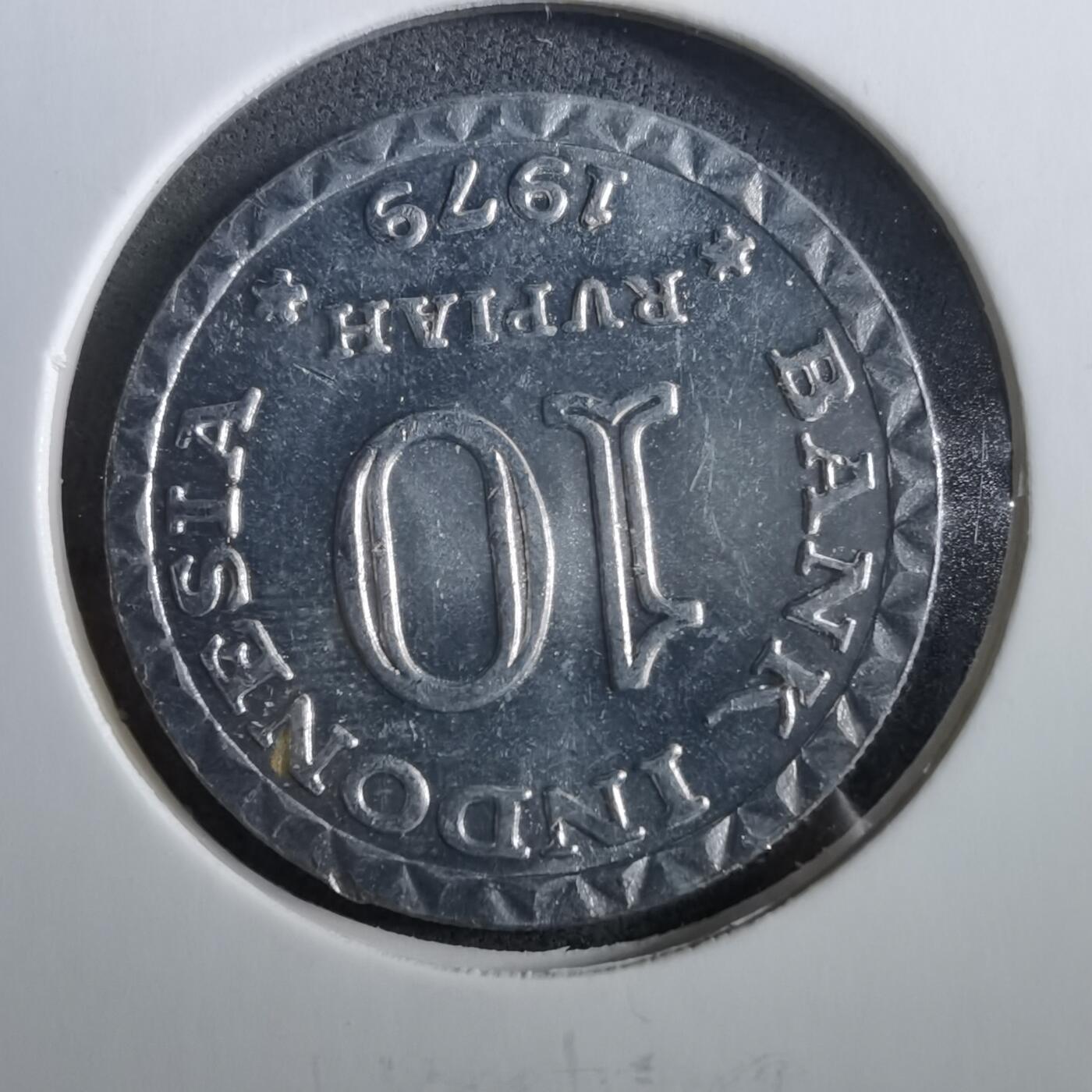 沼泽如烟--第960场