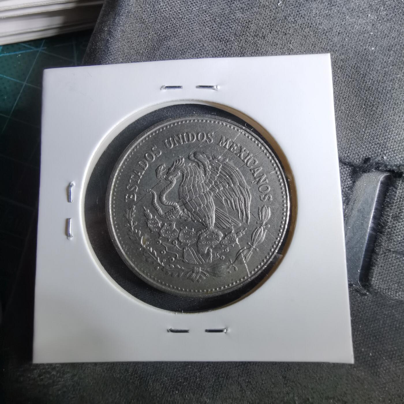 沼泽如烟--第960场