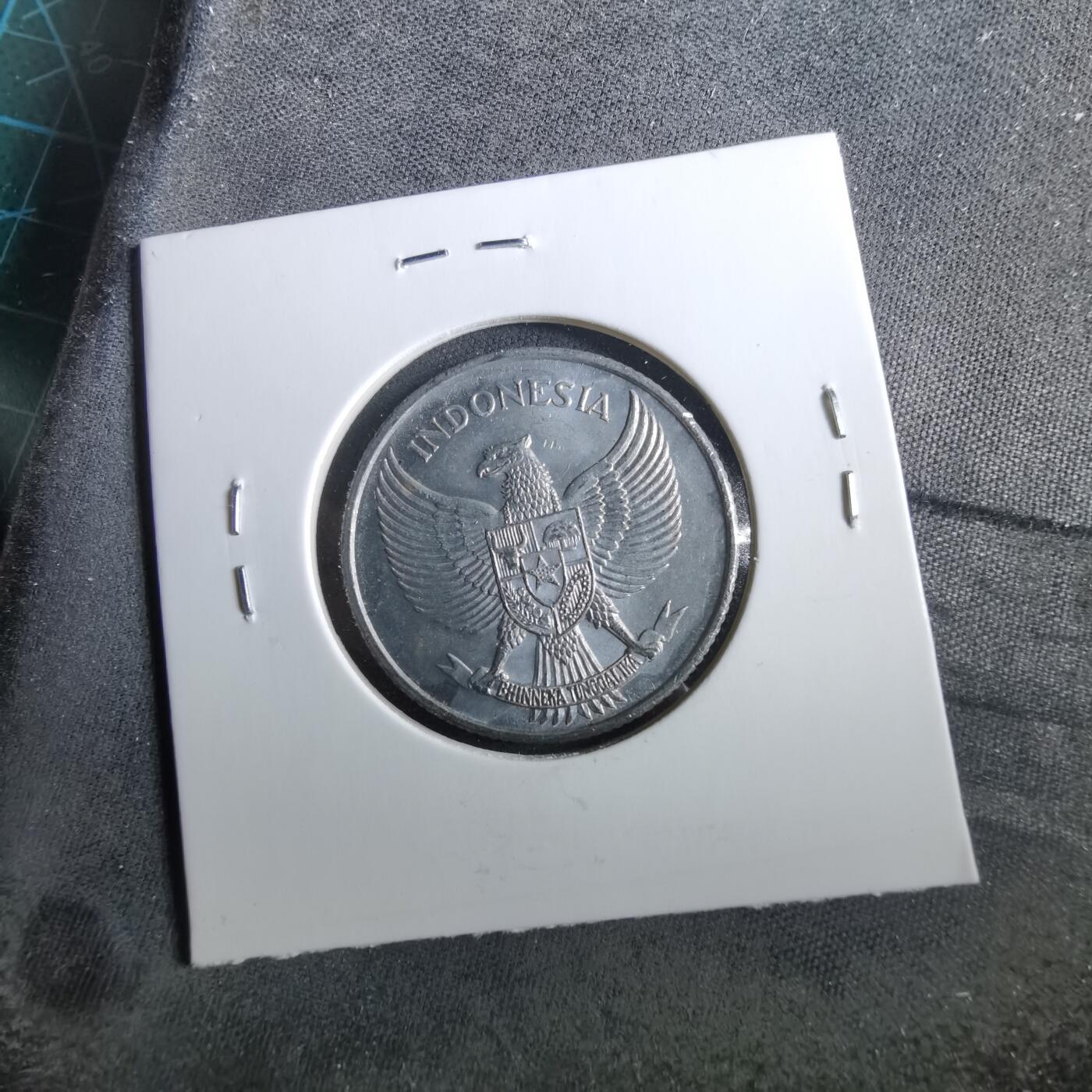 沼泽如烟--第960场