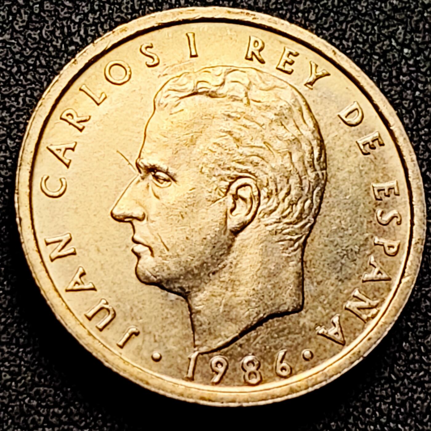 泉币菌-第169场- 精品福利场 。