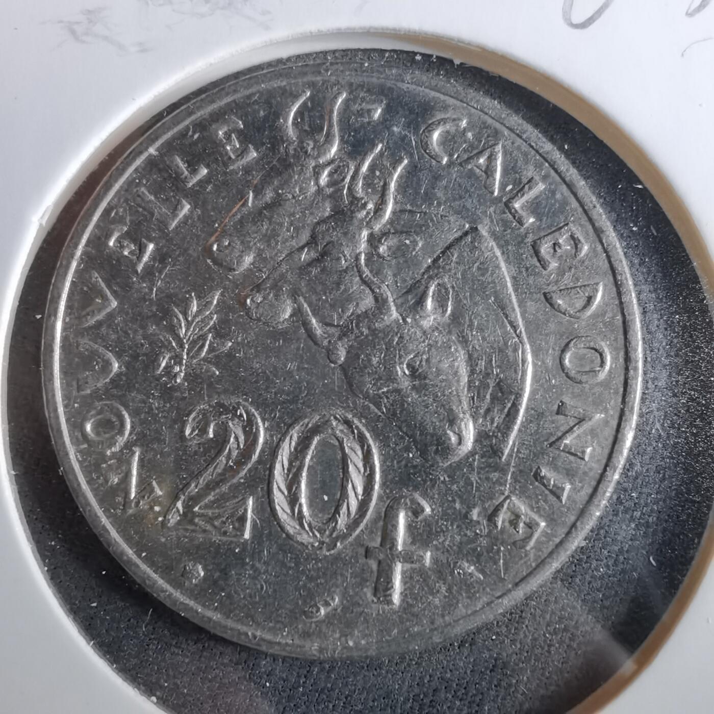 沼泽如烟--第960场