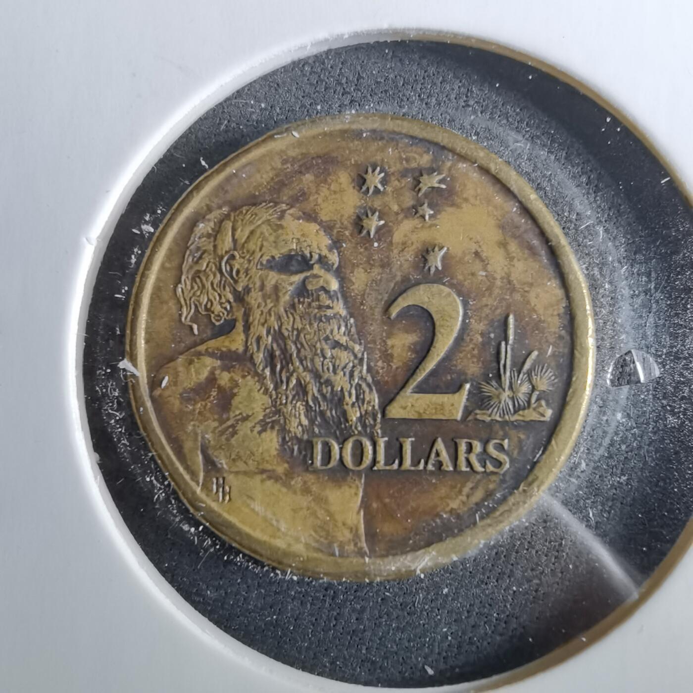 沼泽如烟--第960场