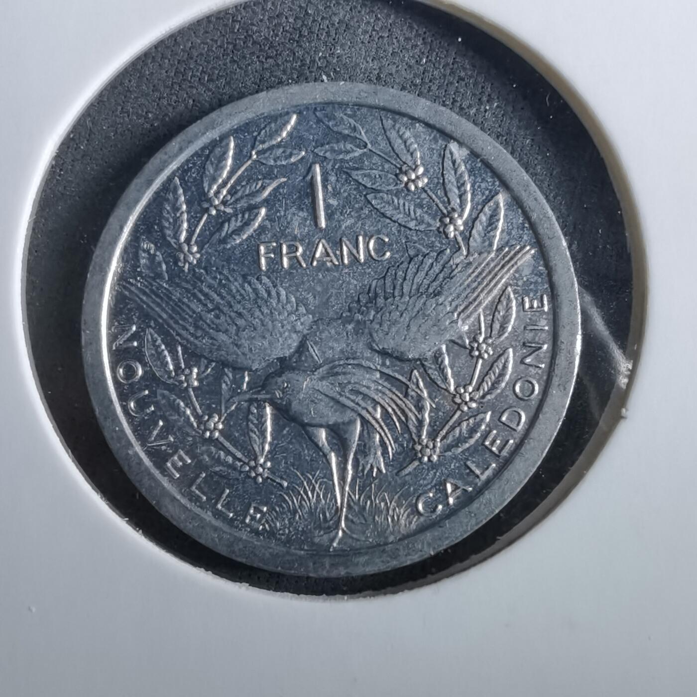 沼泽如烟--第960场