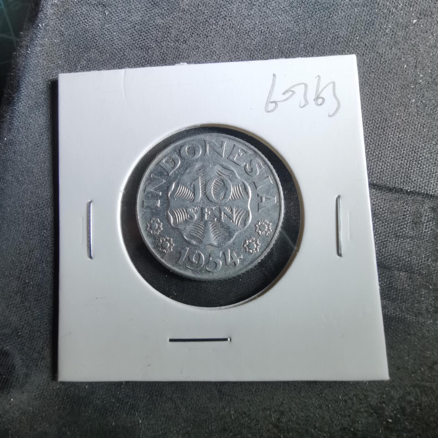 沼泽如烟--第960场