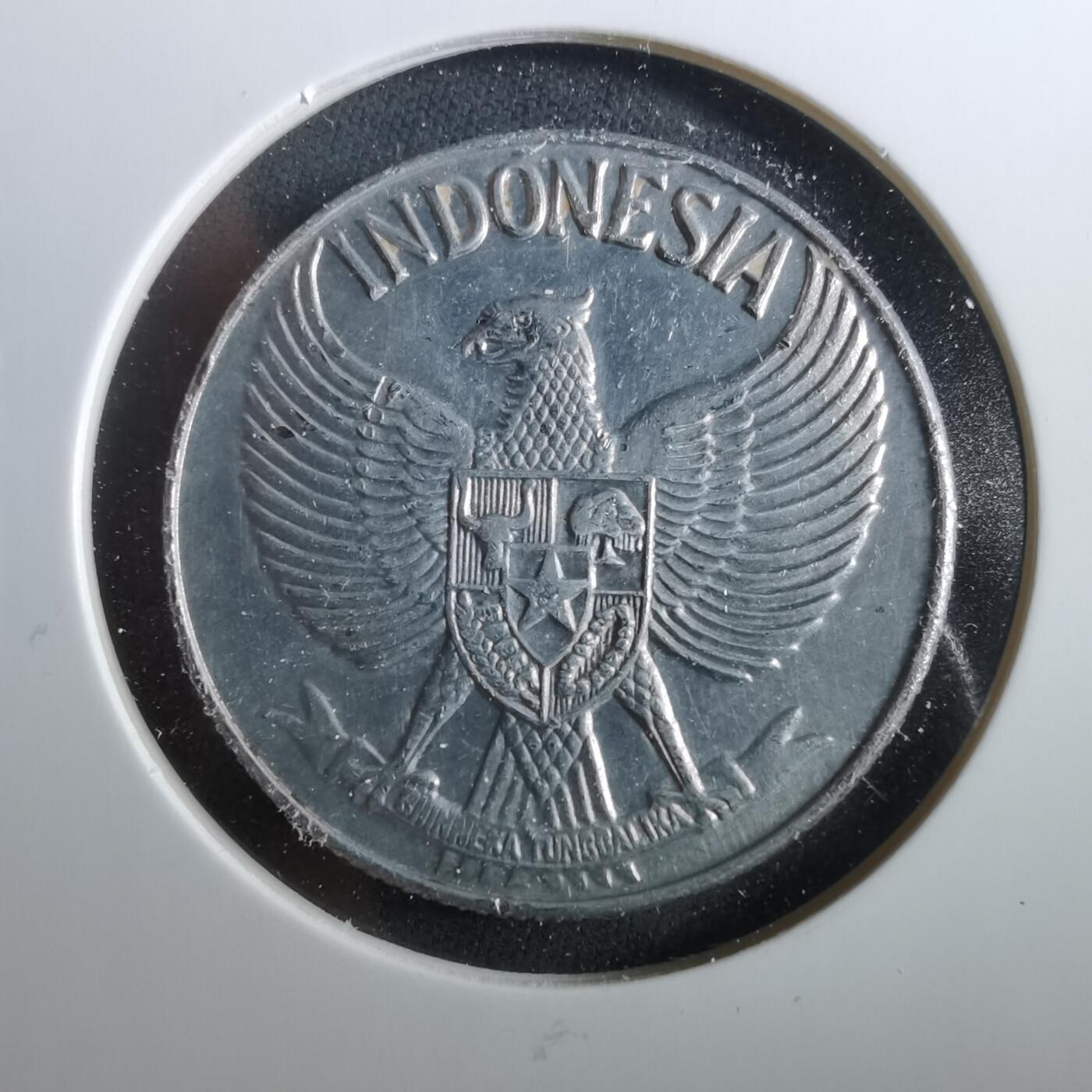 沼泽如烟--第960场