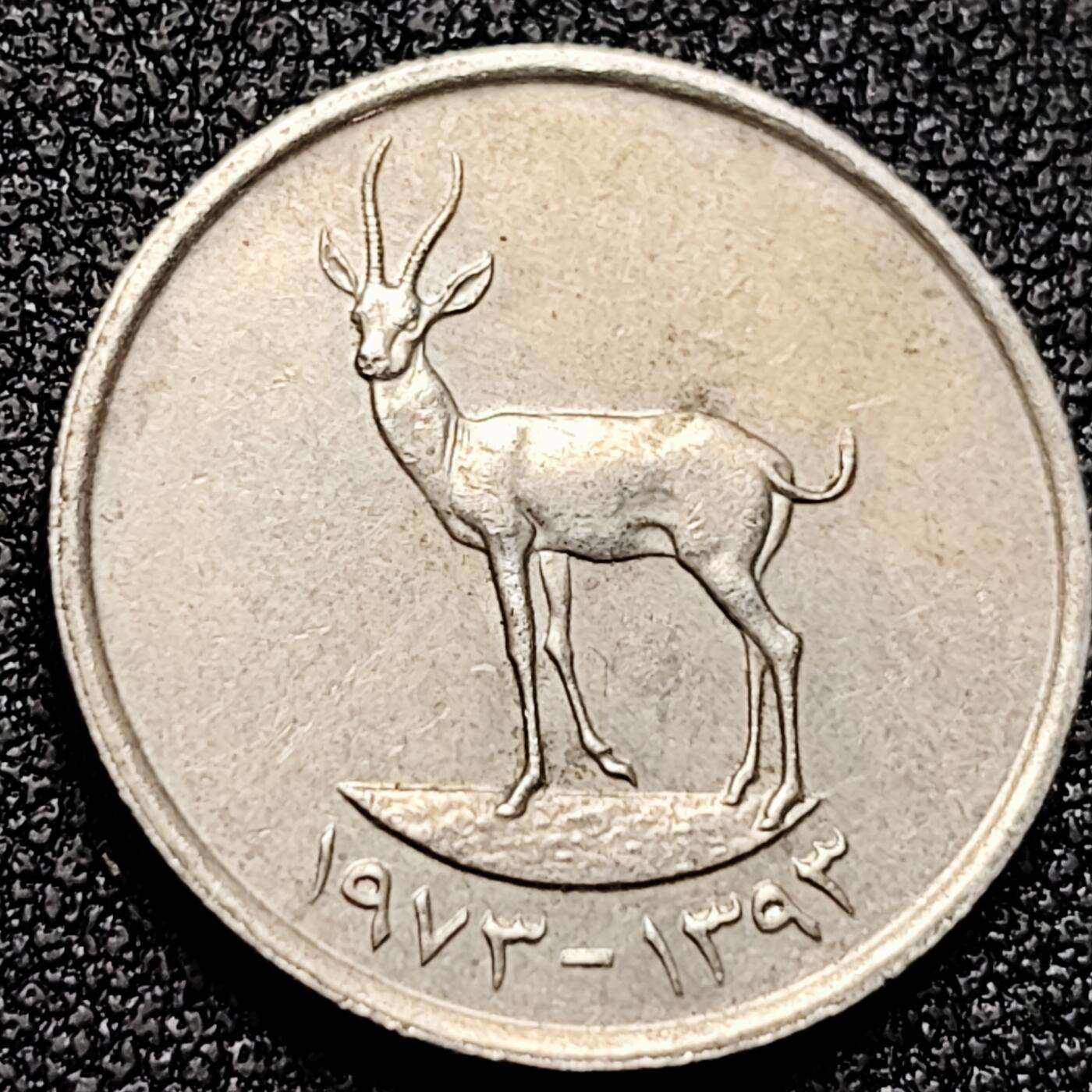 泉币菌-第168场- 精品福利场 。