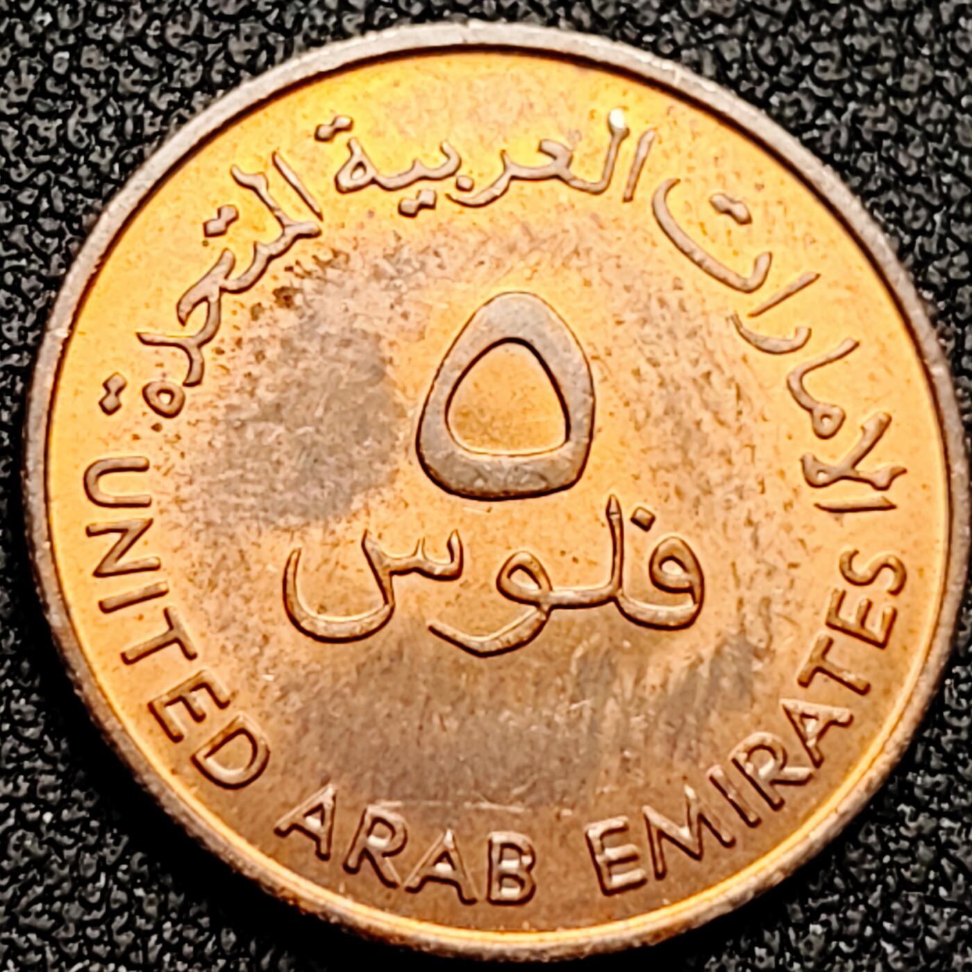 泉币菌-第169场- 精品福利场 。