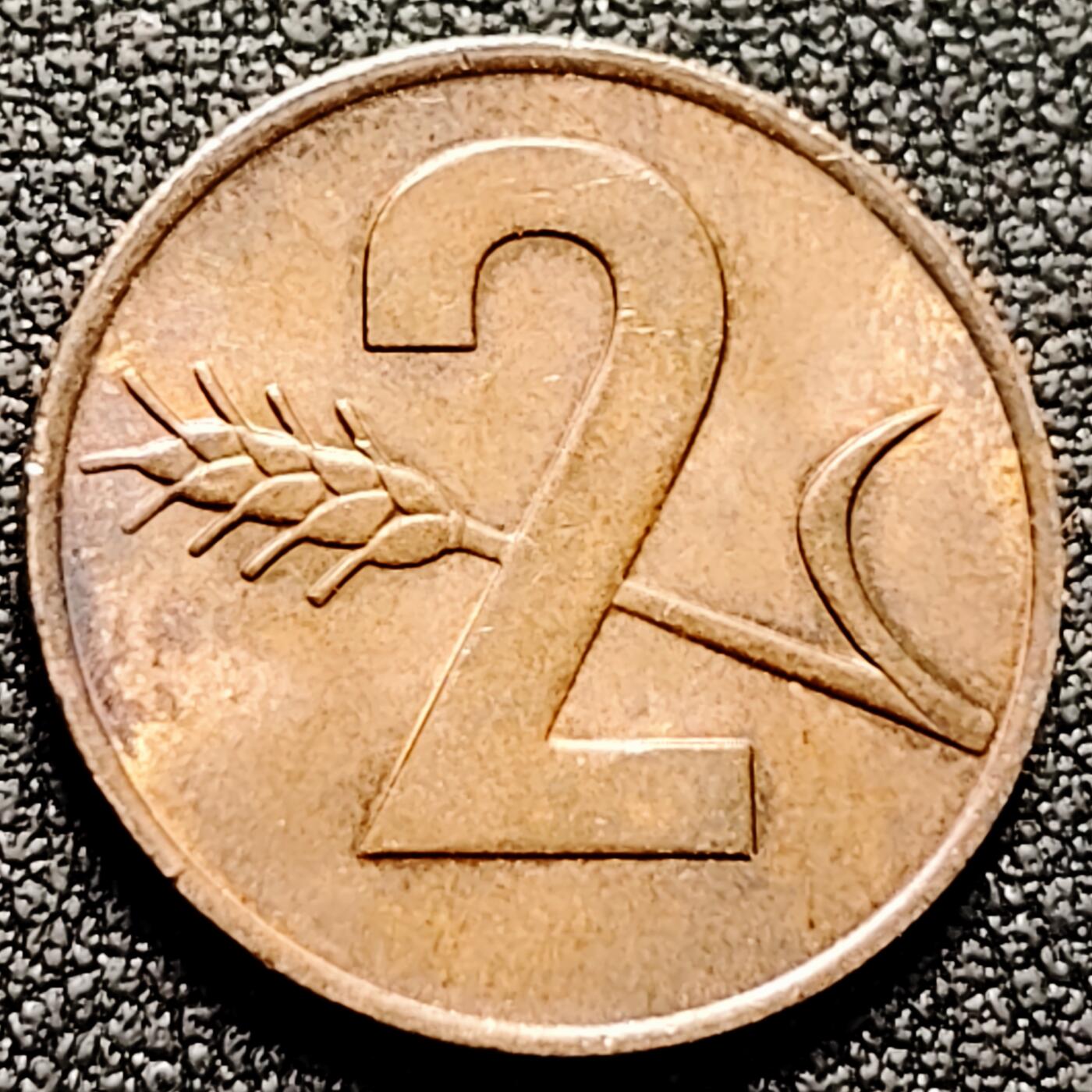 泉币菌-第169场- 精品福利场 。