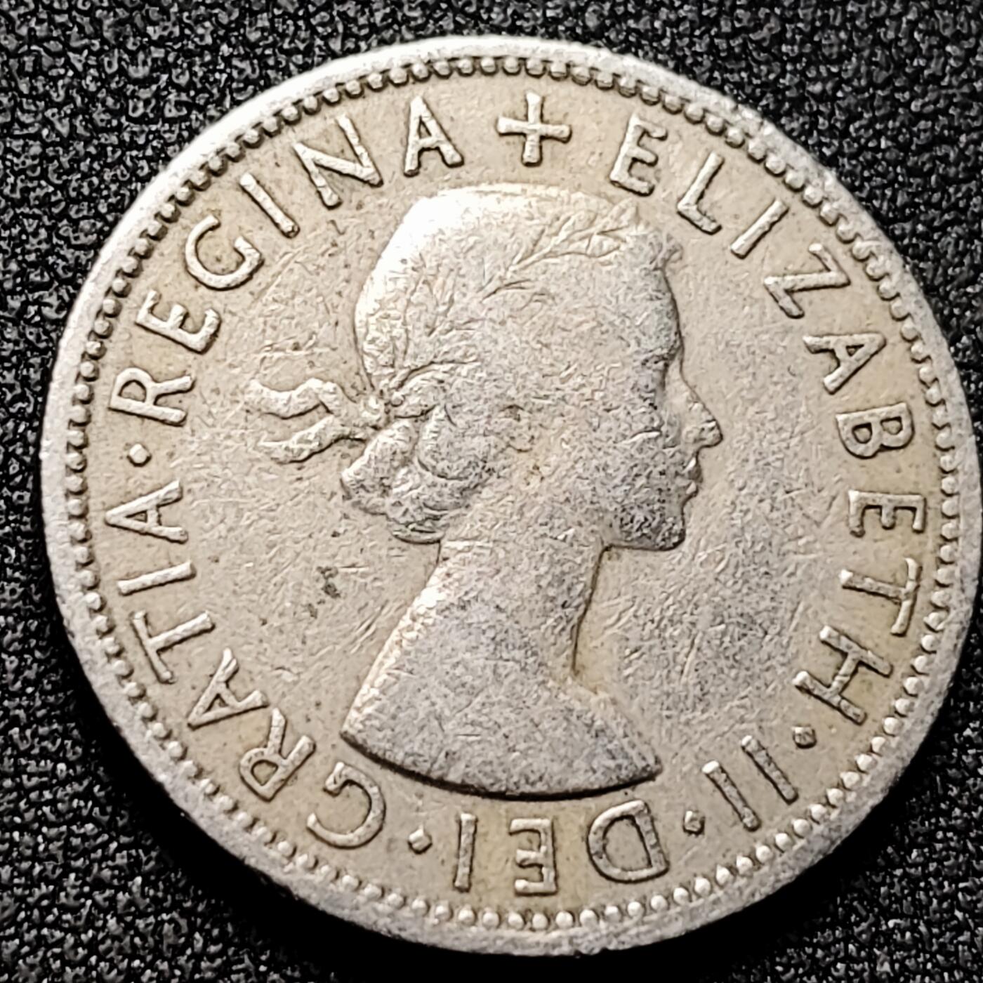 泉币菌-第169场- 精品福利场 。