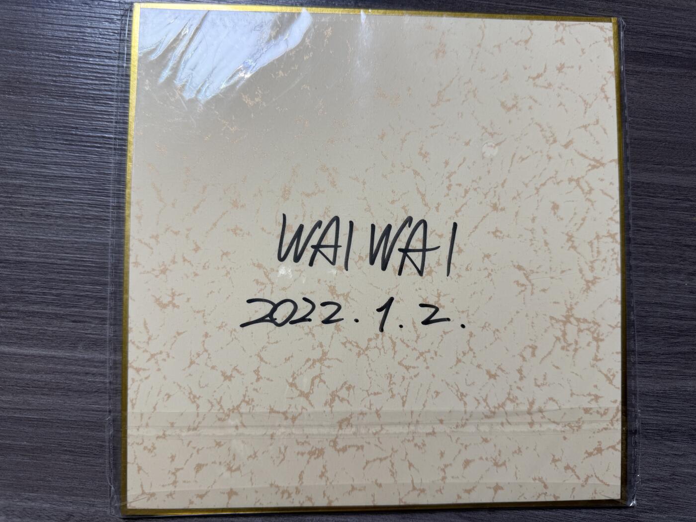 阳大大卡牌拍卖第93期（持续收拍品，周五晚上九点截拍，进群福利早知道） 2023 waiwai手绘色纸 绒系少女 waiwai亲签