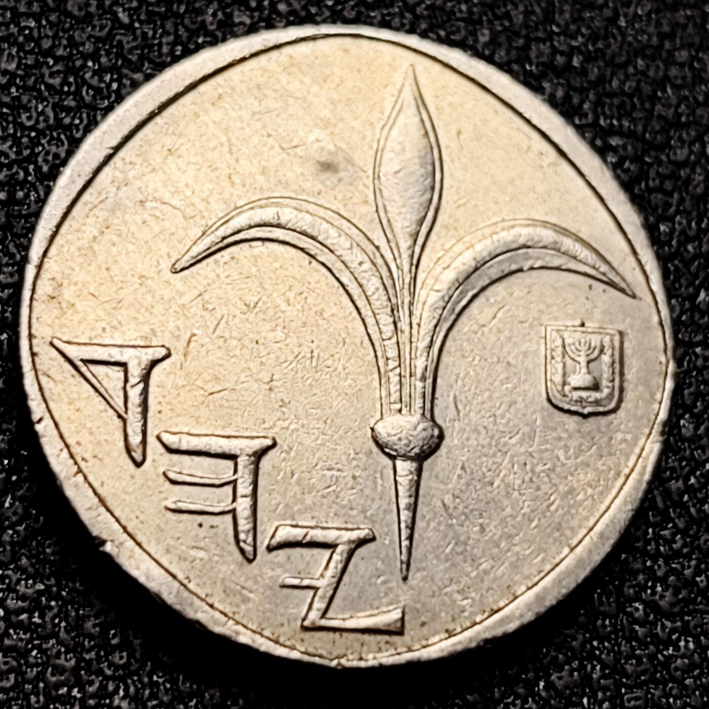 泉币菌-第169场- 精品福利场 。