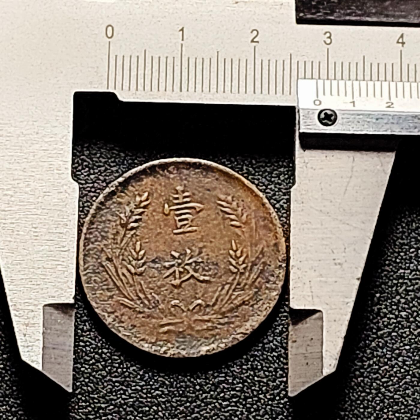 泉币菌-第169场- 精品福利场 。