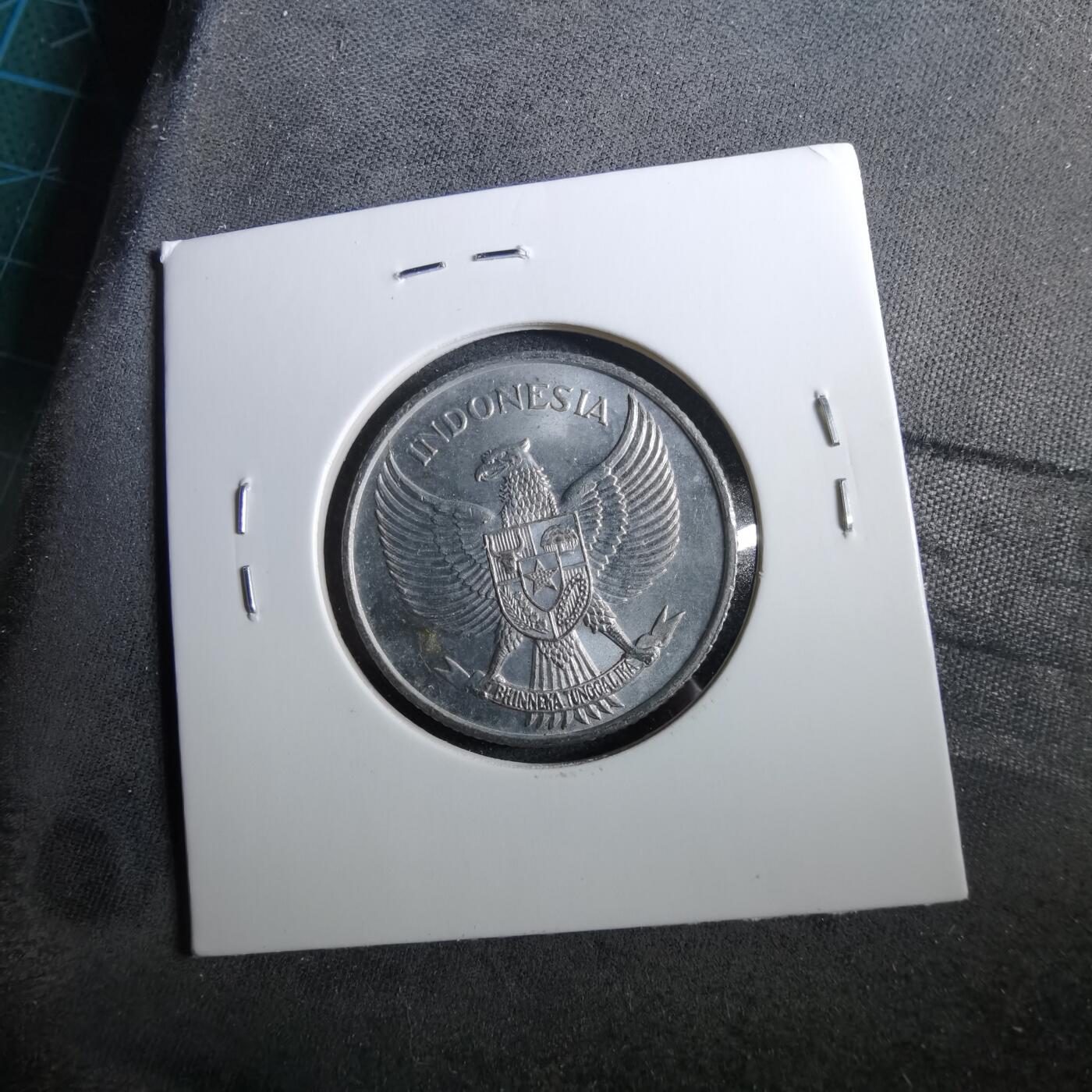 沼泽如烟--第960场