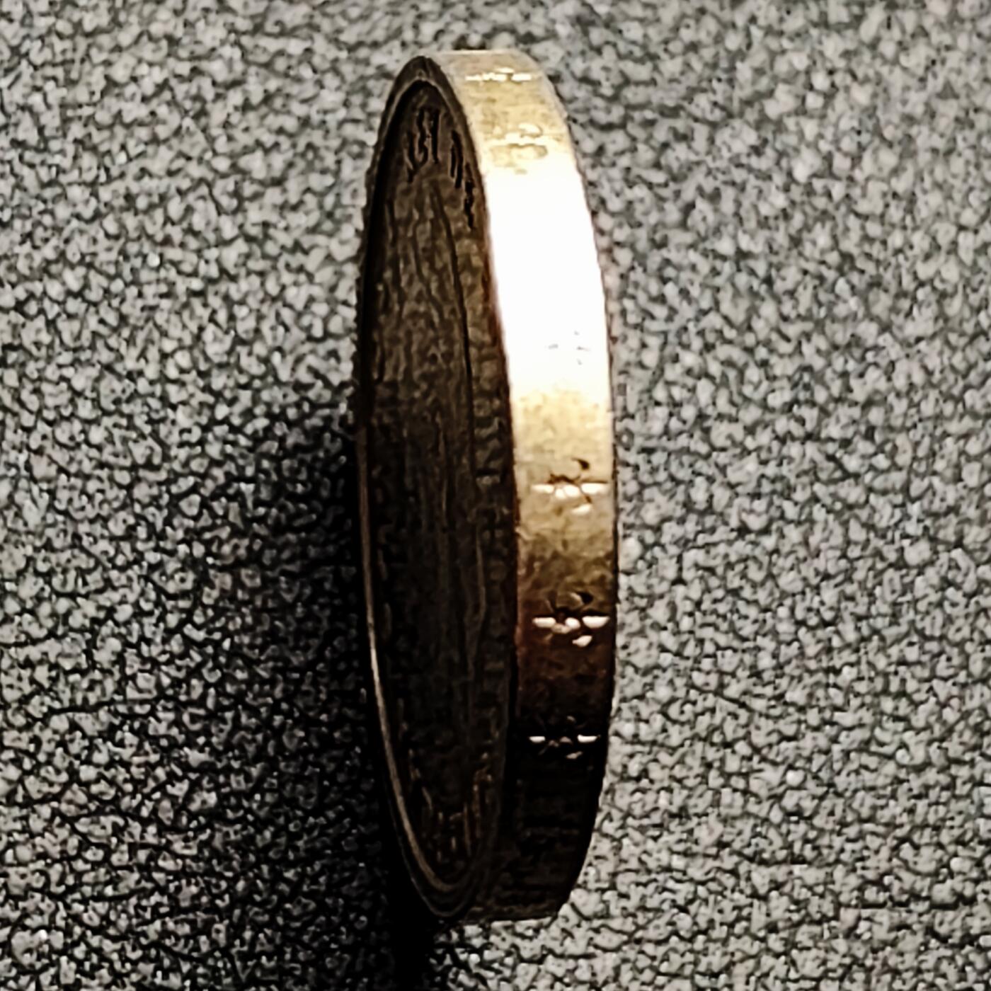 泉币菌-第169场- 精品福利场 。