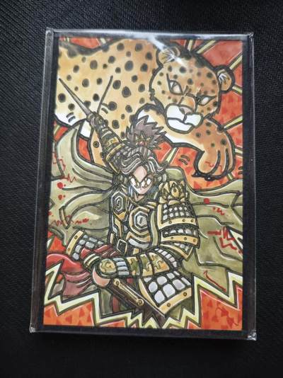 满200包邮！！龙虎卡牌-七二场（满200元包邮，无佣金，每周六结拍，欢迎送拍） - A6色纸 waiwai三国 孙策