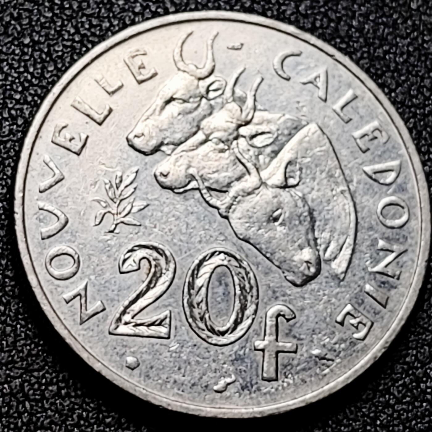 泉币菌-第169场- 精品福利场 。