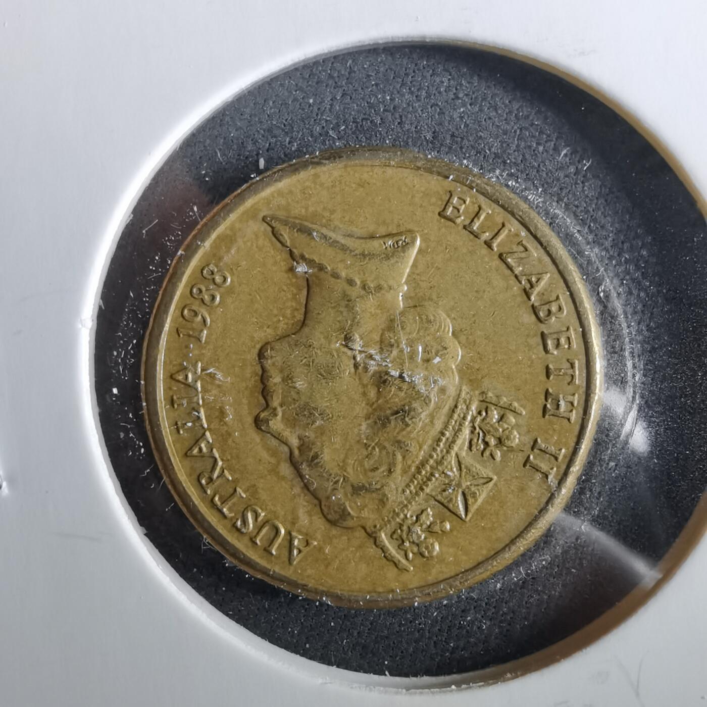 沼泽如烟--第960场