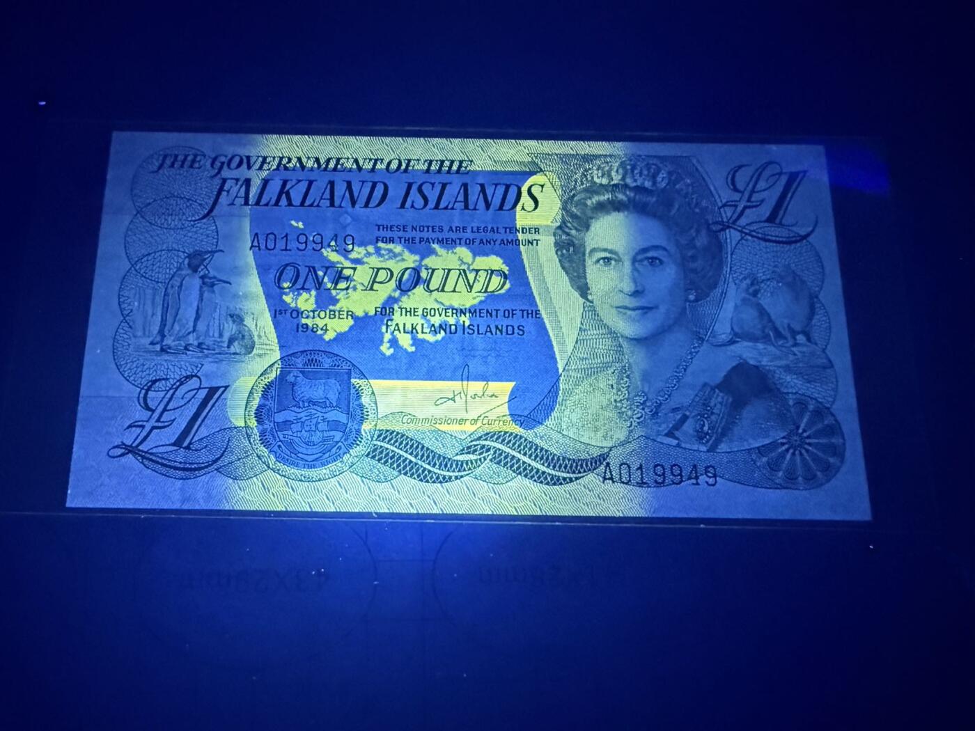 【炜奕收藏】，第五十七期，英联邦女王专场 1984年福克兰群岛1镑，UNC品相，A冠