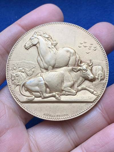 《竞宝斋》第458场 周日，周一，周二   3场连拍 （全场包邮）欢迎送拍 - 法国A.Dubois 农业协会镀金银章，65.65g，50mm，丰饶角1argent边铭