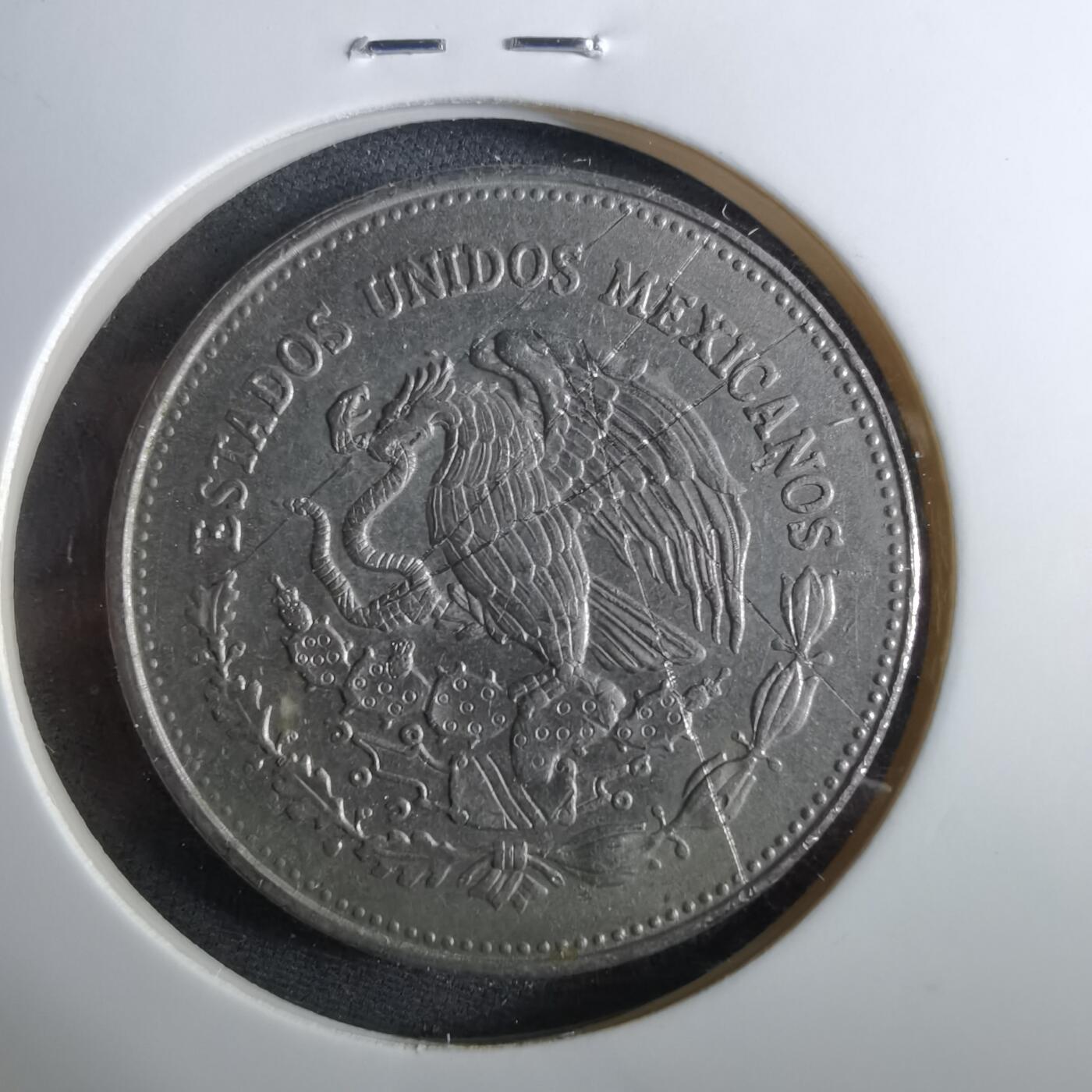 沼泽如烟--第960场