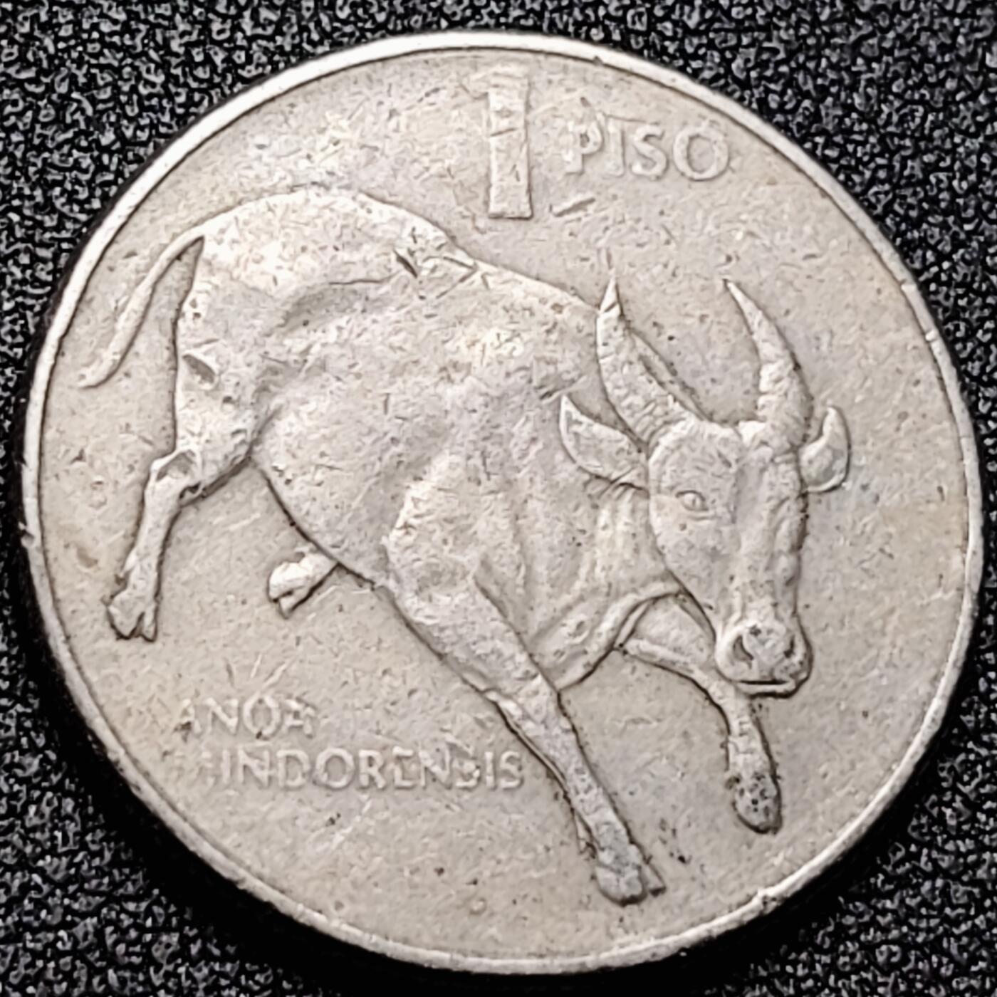 泉币菌-第169场- 精品福利场 。