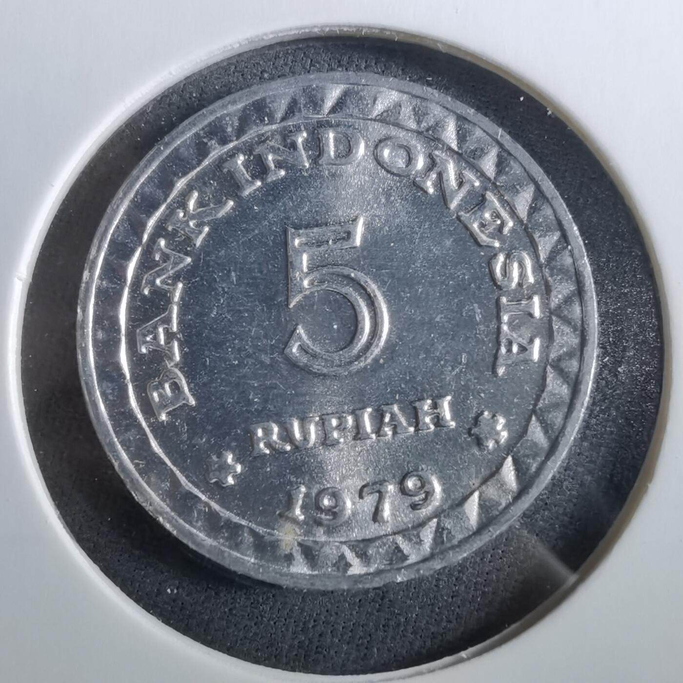 沼泽如烟--第960场