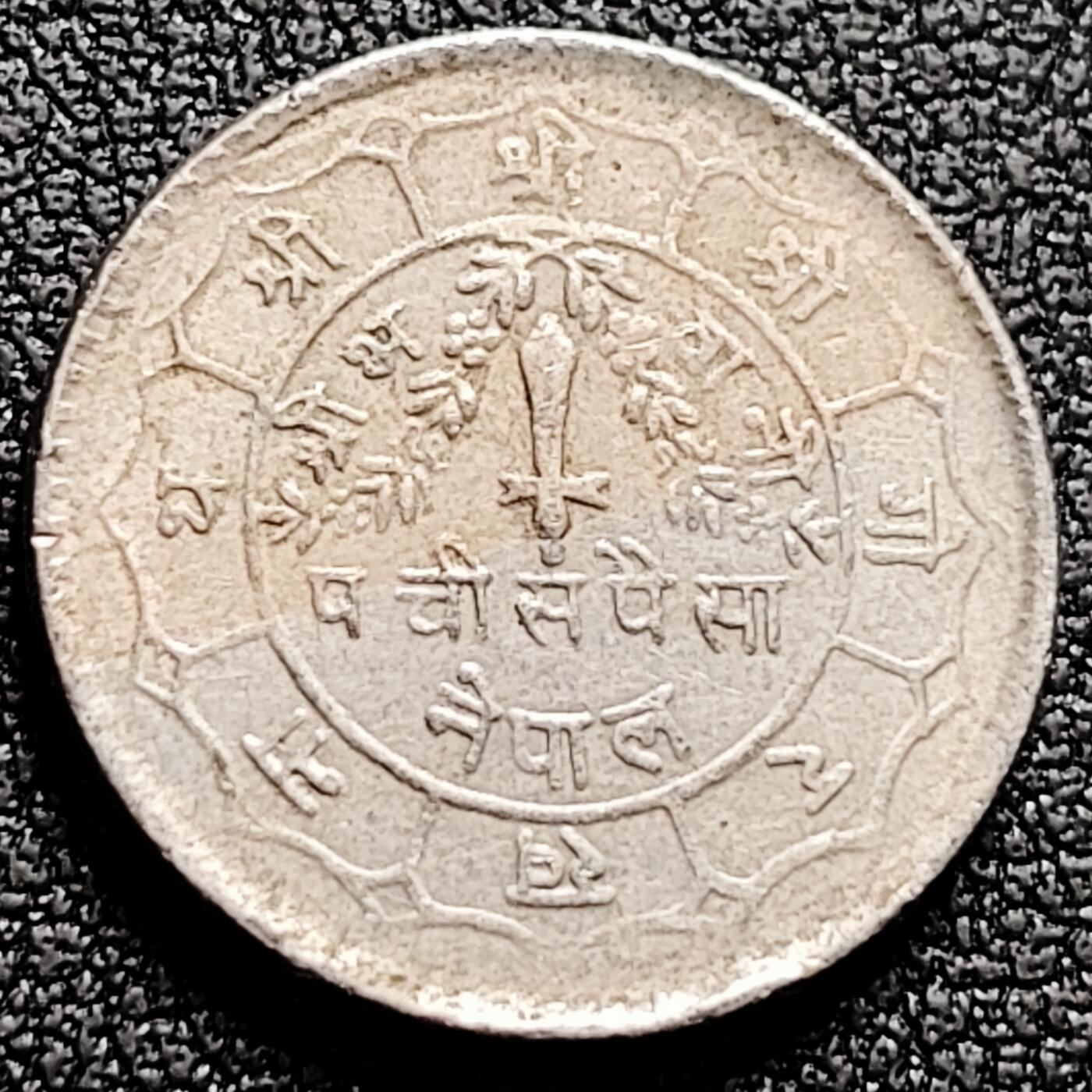 泉币菌-第169场- 精品福利场 。