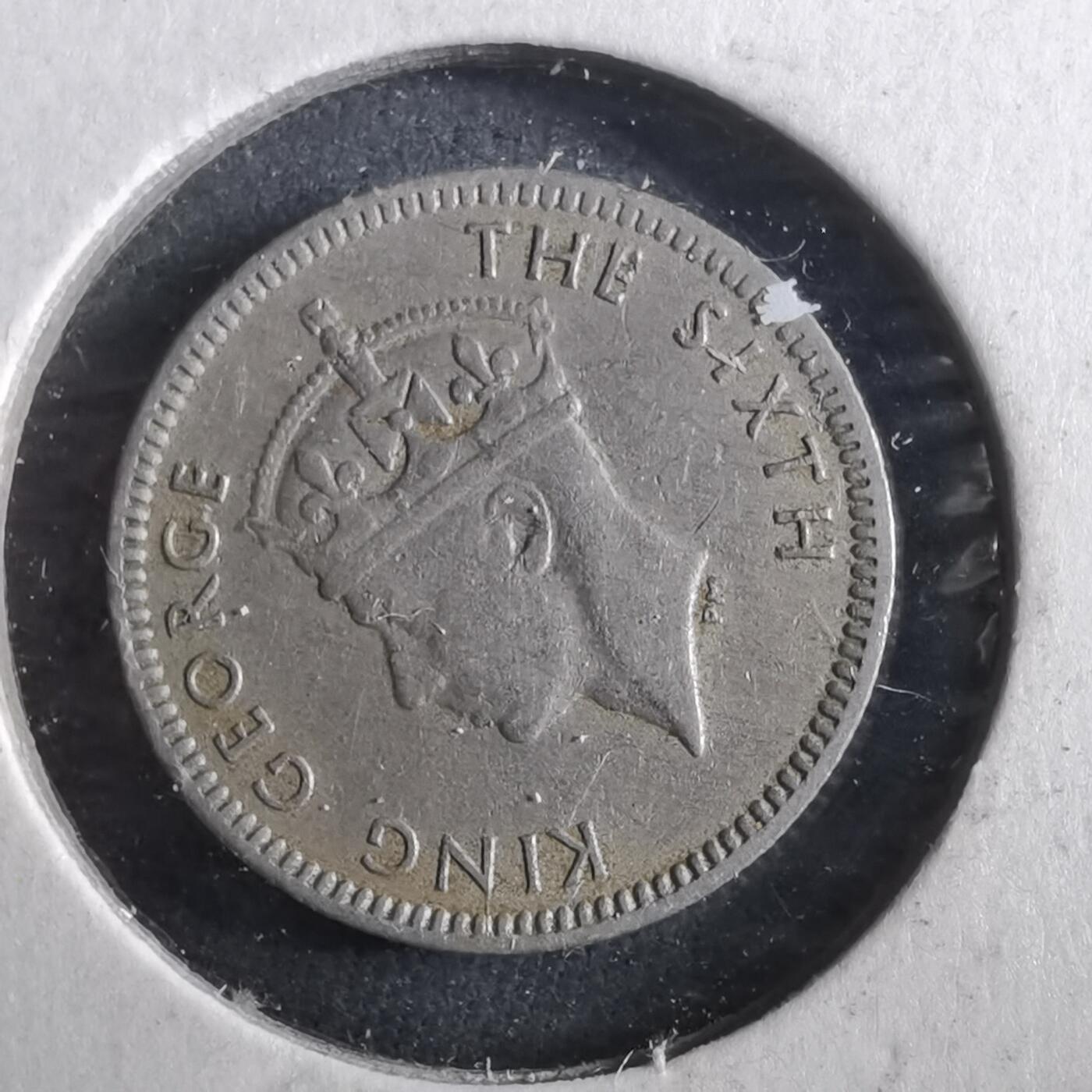 沼泽如烟--第960场