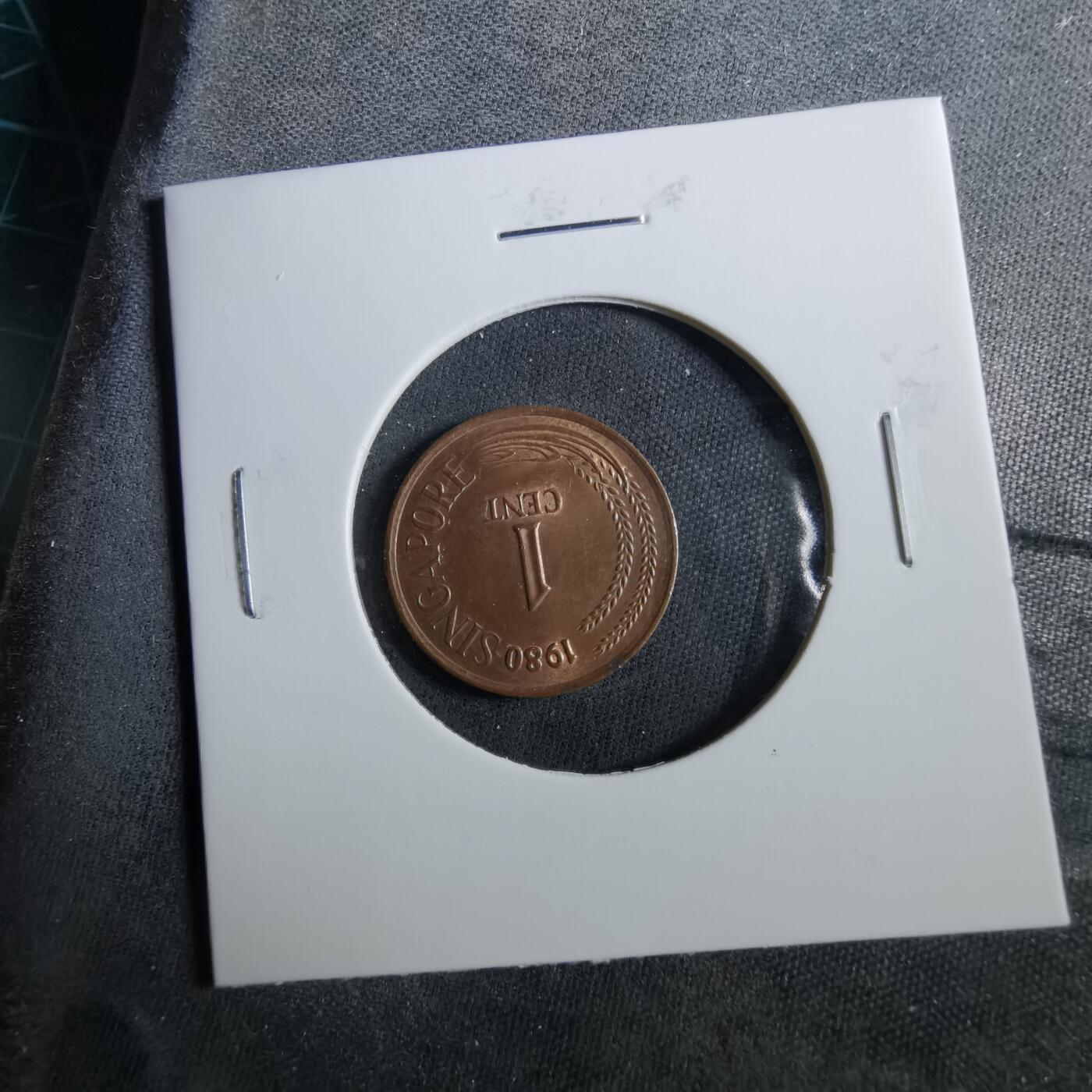 沼泽如烟--第960场