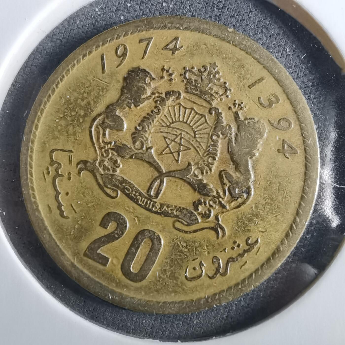 沼泽如烟--第960场