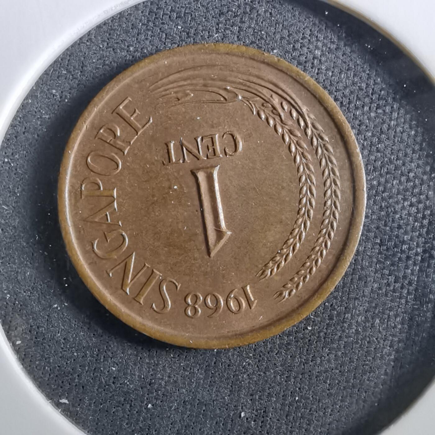 沼泽如烟--第960场