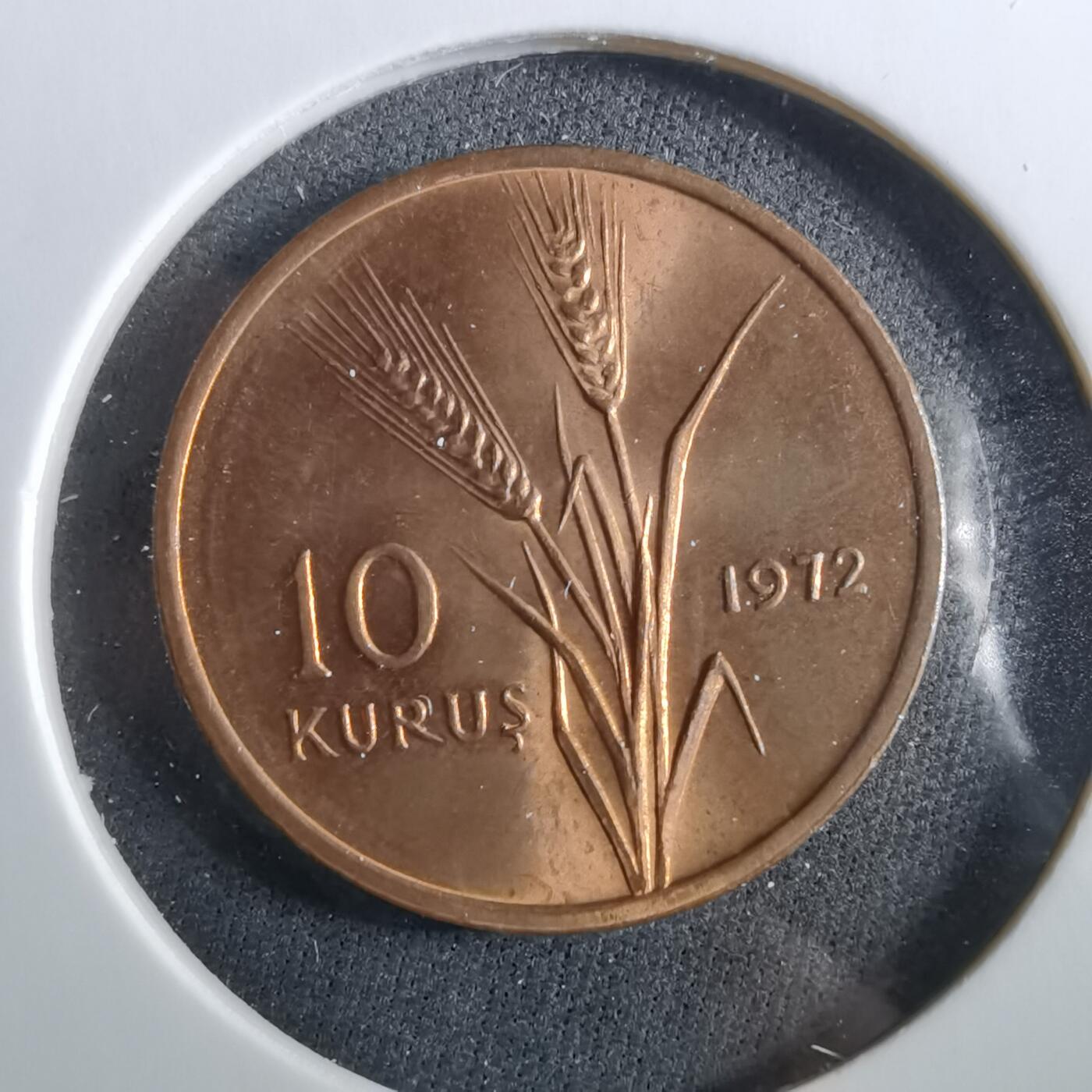 沼泽如烟--第960场