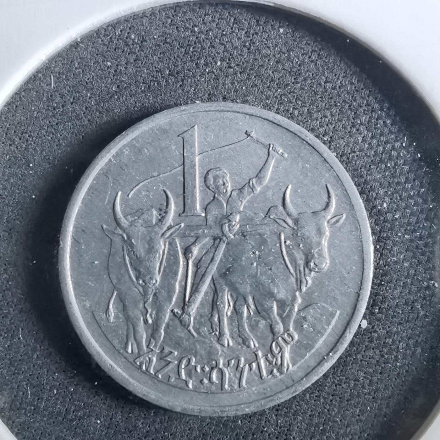 沼泽如烟--第960场