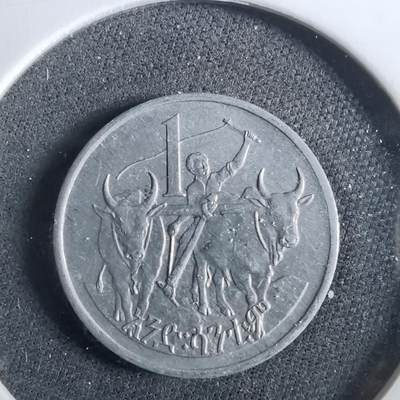 沼泽如烟--第960场 - 埃塞俄比亚