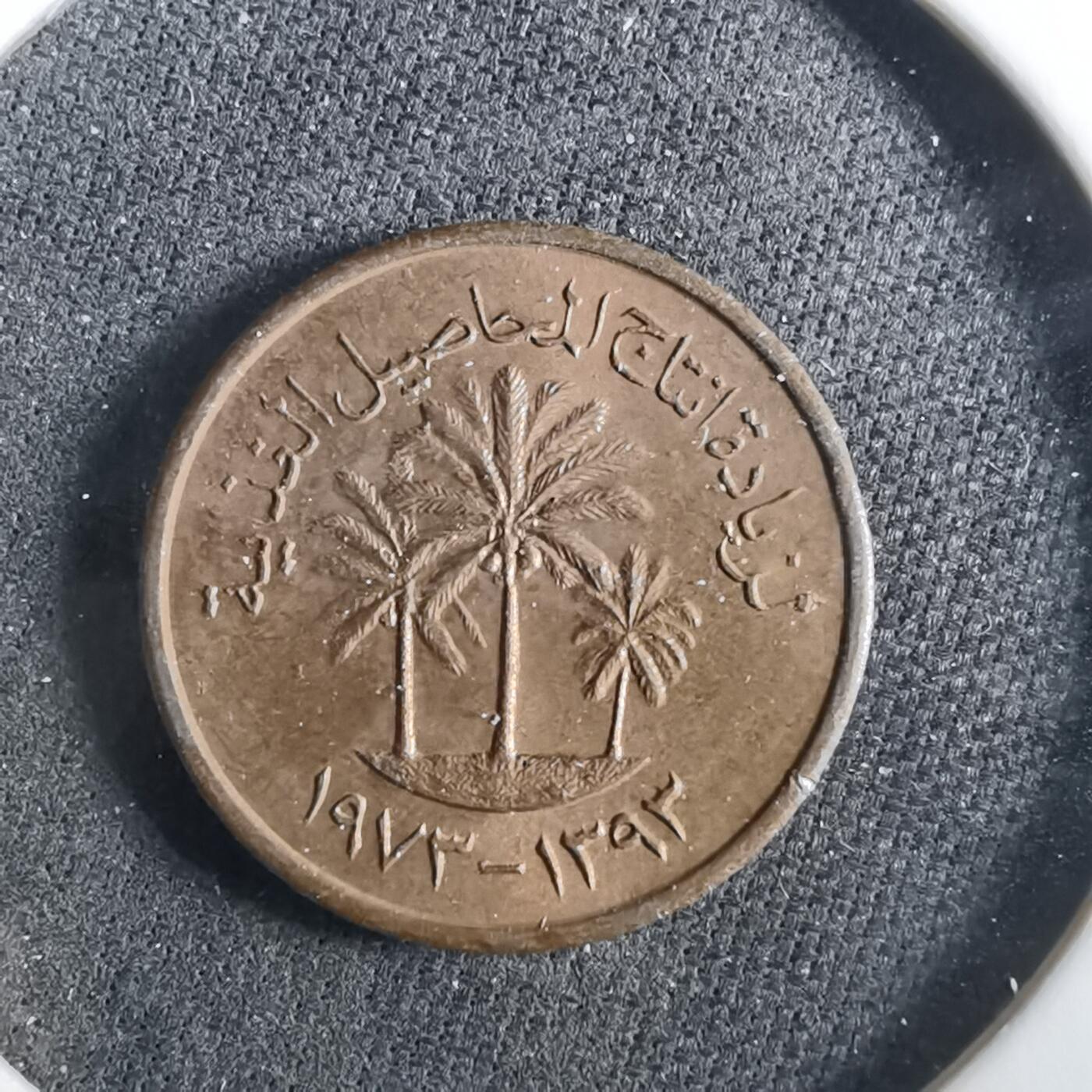 沼泽如烟--第960场